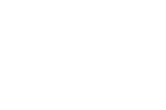 Taxonomy Custom Icon