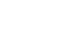 Taxonomy Custom Icon
