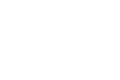 Taxonomy Custom Icon