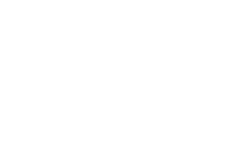 Taxonomy Custom Icon