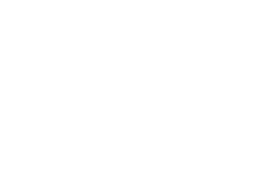 Taxonomy Custom Icon